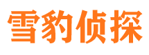 广河市侦探公司